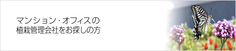 マンション・オフィスの植栽管理会社をお探しの方