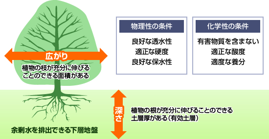 植栽基盤