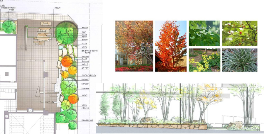 リニューアル植栽設計・施工・管理