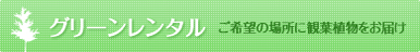 グリーンレンタル ご希望の場所に観葉植物をお届け