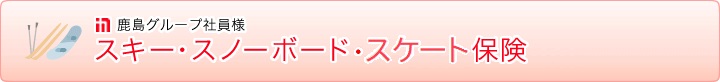 鹿島グループ社員様　スキー・スノーボード・スケート保険